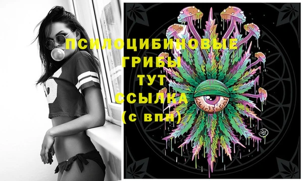 Альфа ПВП Алзамай