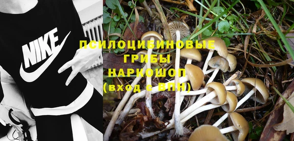 apvp Абдулино