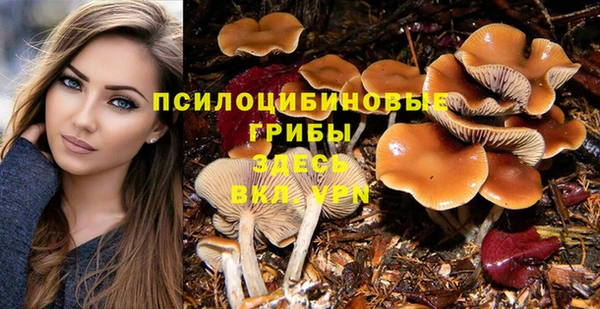 apvp Абдулино