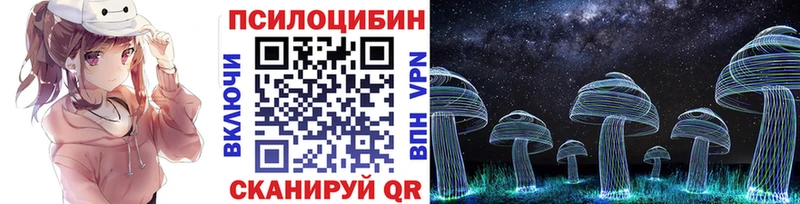 купить наркотики цена  Чухлома  это клад  Псилоцибиновые грибы Psilocybe 